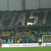 Piast